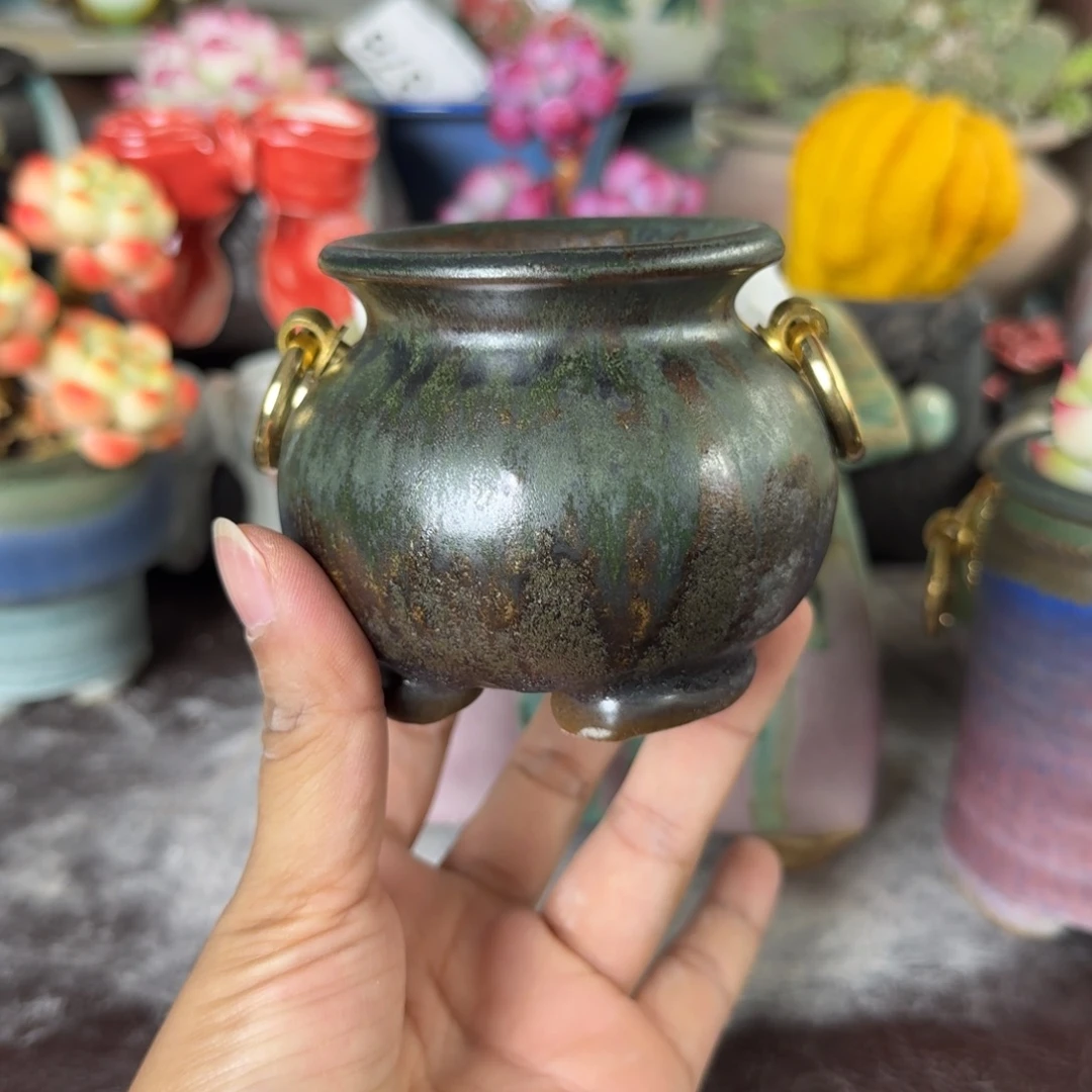重庆小燕子欢迎大家
