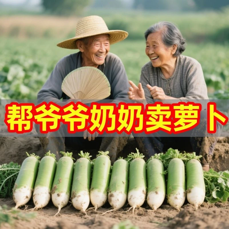 新鲜正宗河南青萝卜现挖辣萝卜口感清甜微辣清脆多汁可生吃新鲜