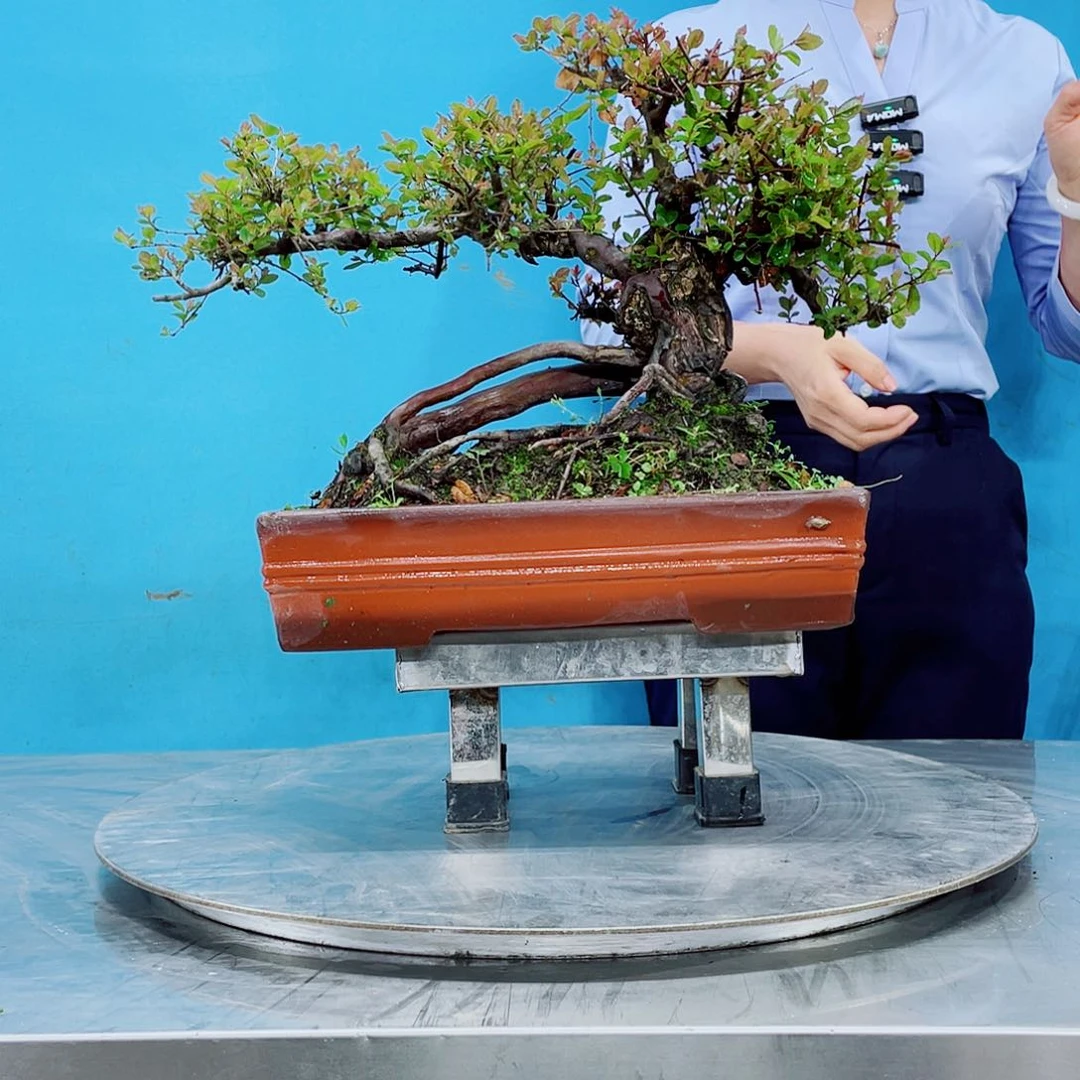 无铅玻璃岭南文化艺术中心的