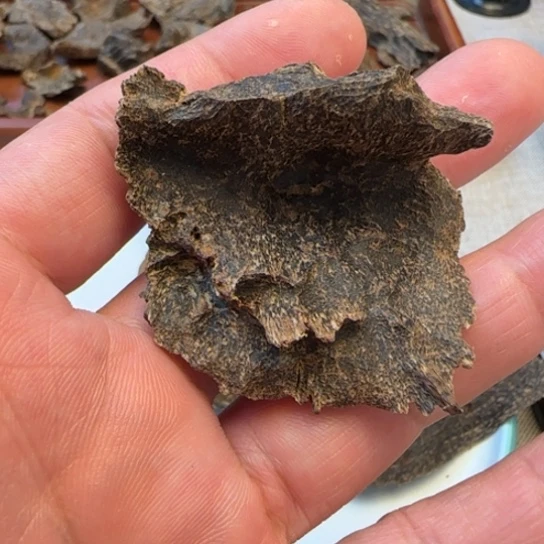 摆件沉香吊罗山沉水包头4.4克