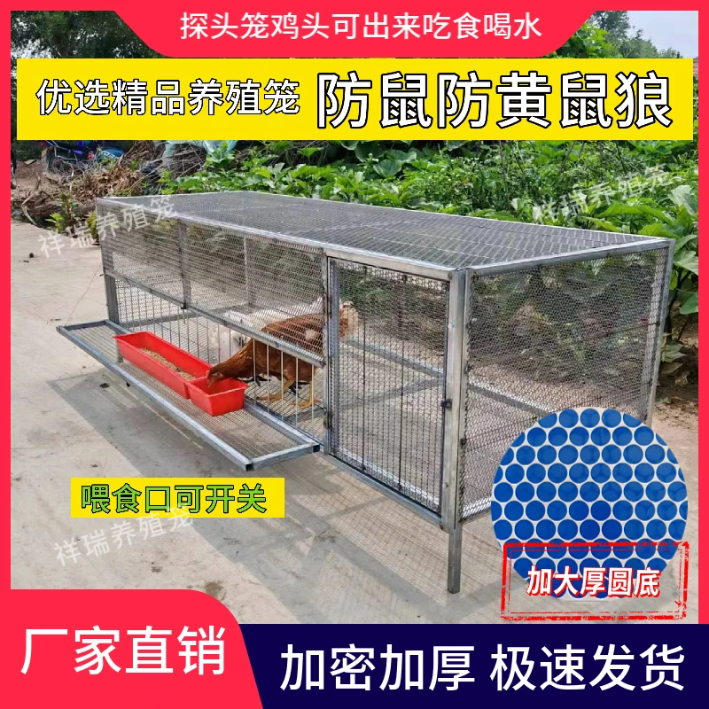 户外鸡笼鸭笼可探头在外面吃食可以外挂食槽可防老鼠黄鼠狼结实耐