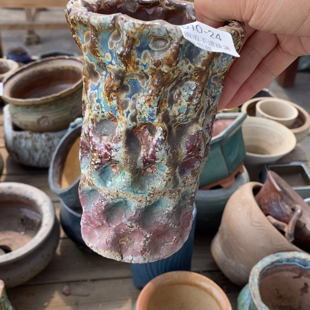 咪*24号多肉盆一个呀