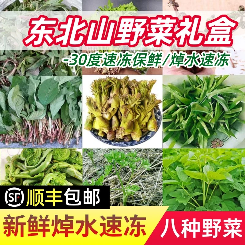 东北特产山野菜礼盒新鲜速冻冷冻刺嫩芽真空包装蘸酱顺丰包邮
