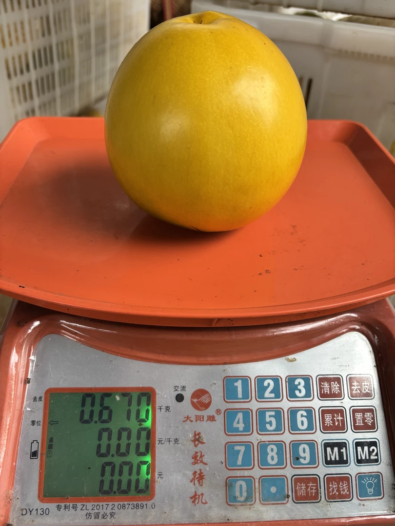 西双版纳黄晶果 巨无霸 单果可达一斤 包邮