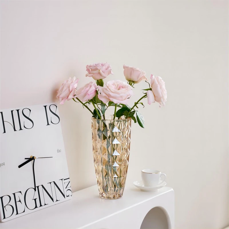 水晶钻石花瓶玻璃轻奢高级感客厅插花养玫瑰百合鲜花装饰花器摆件