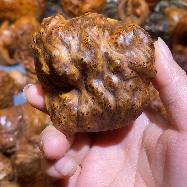 柏木太行崖柏陈化