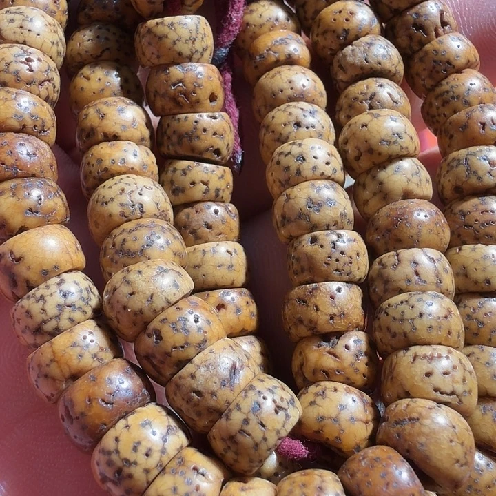 藏传公子公子公子