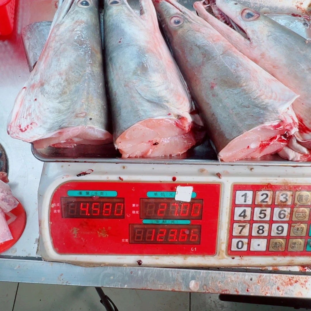 中国大陆四个鳗鱼头