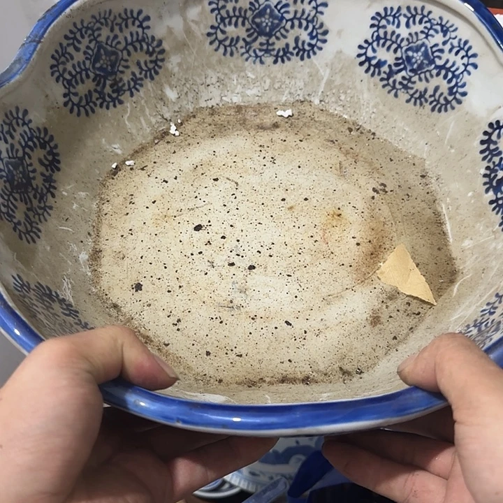 水***月扇子吃v会不会哈哈宝贝别别扭扭
