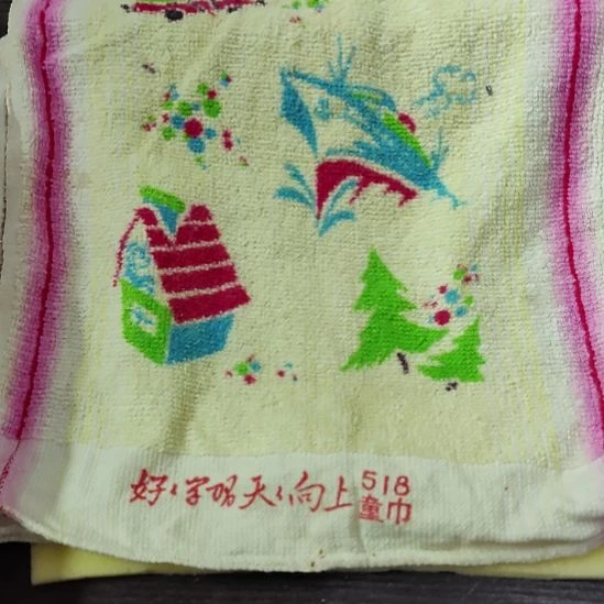 D***活其他普通金属纪念章