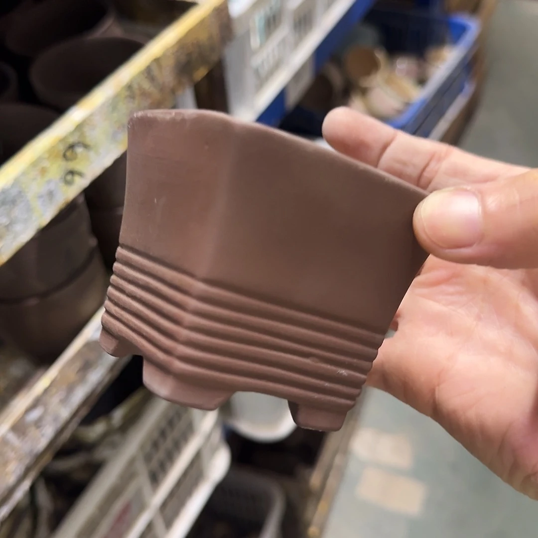 福利局绿植多肉盆［凑9元包邮24小时发］3046