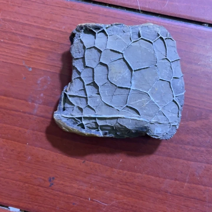 用***8核桃手串/手链龟纹石原石