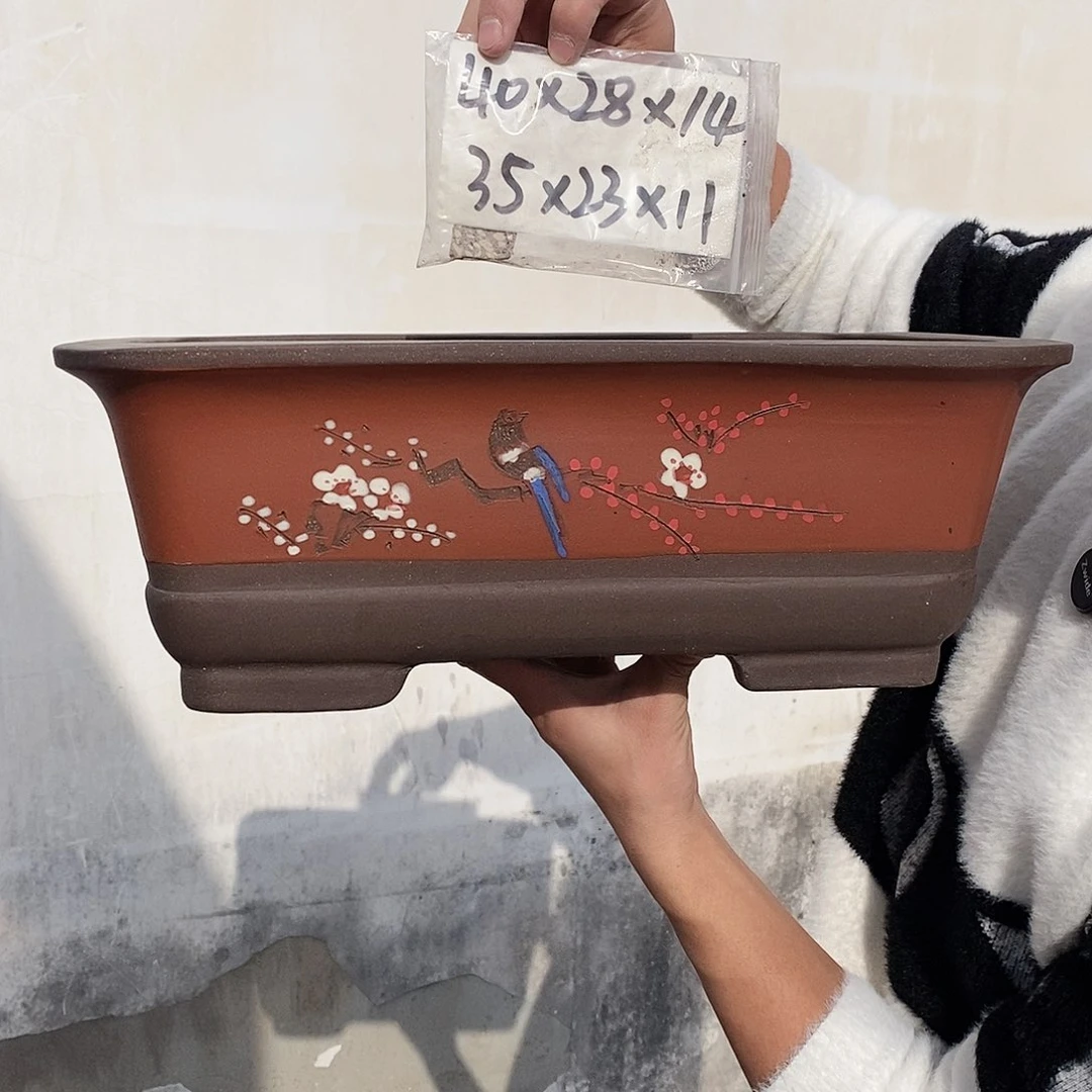 紫砂花盆福利来啦
