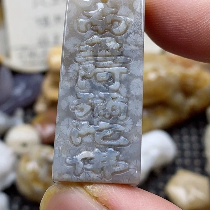 颈饰未镶嵌硅化珊瑚（珊瑚玉）小