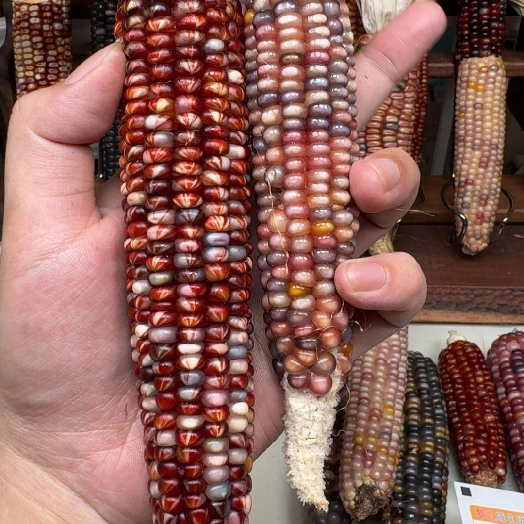 ****过柏香籽/百香籽吊坠