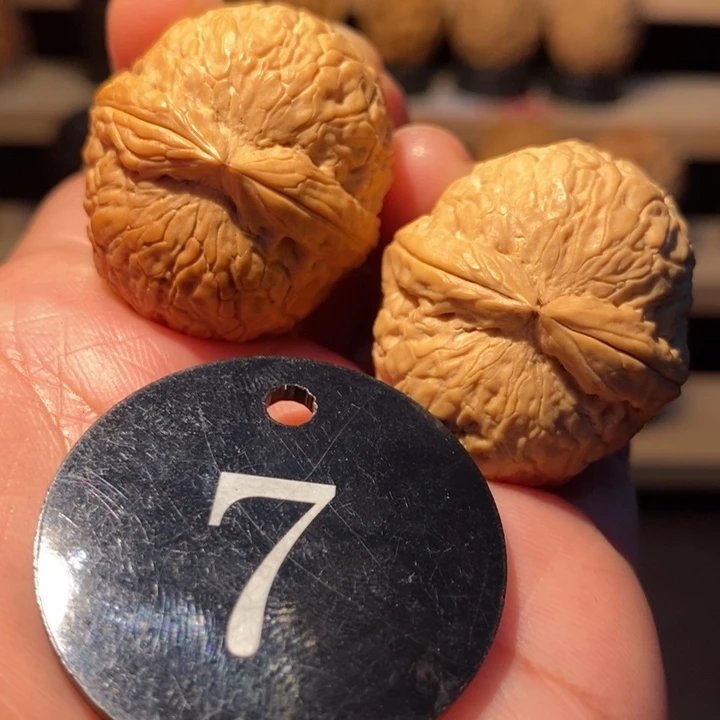 土***玊木质类七彩棒棒糖32尺寸