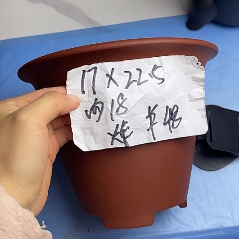 红陶紫砂33333333333