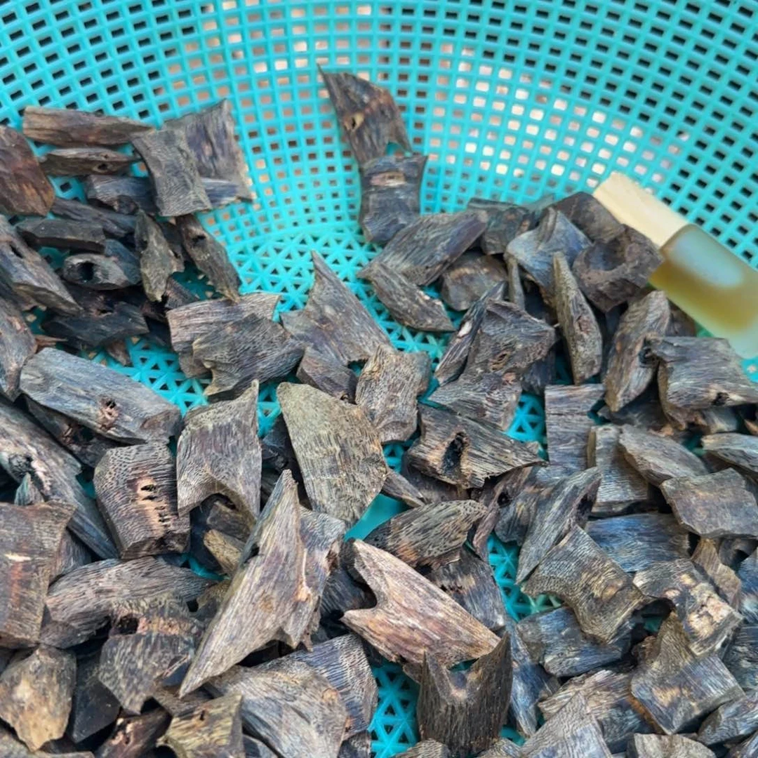 树脂制品奇楠熏香块料30克多样性发一份