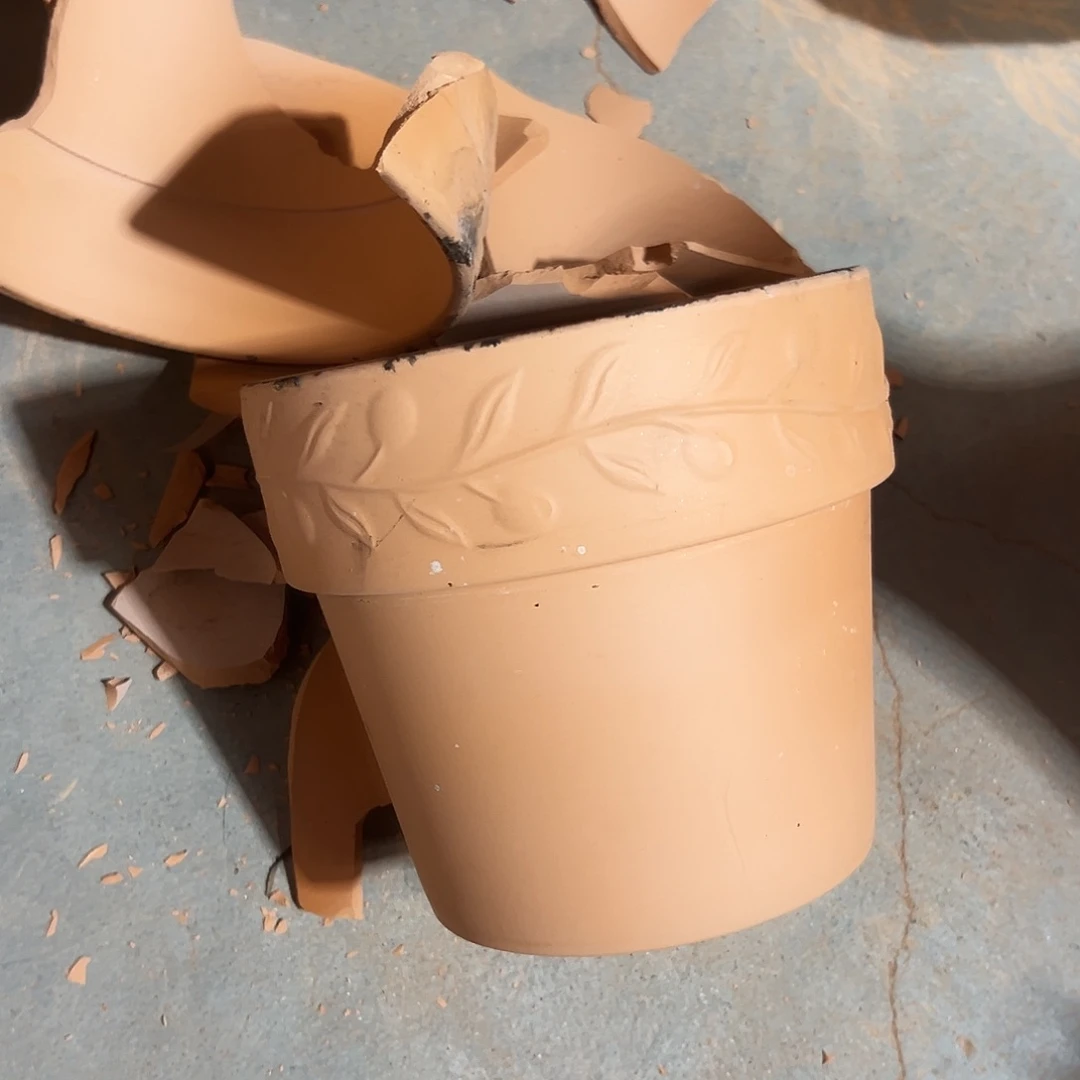 泡水橄榄16口14高1个【泡水瑕疵无售后】