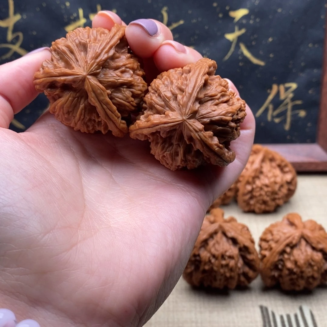 M****U白狮子11111111