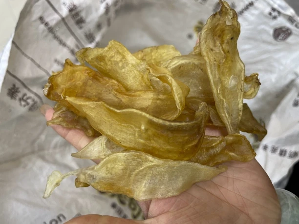 本港自晒野生老鱼胶 原汁原味纯天然 深海鱼胶