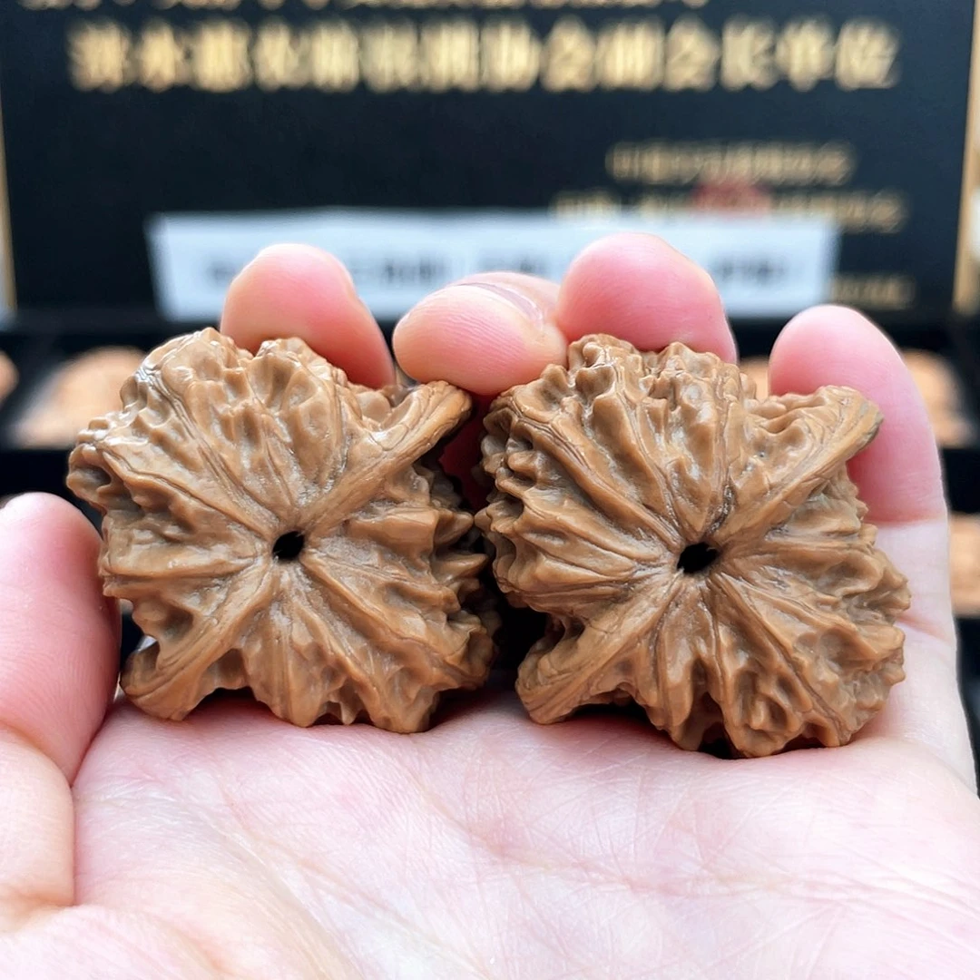 把件文玩核桃37尺野狼野生狼牙山狮子头全品红皮37A1