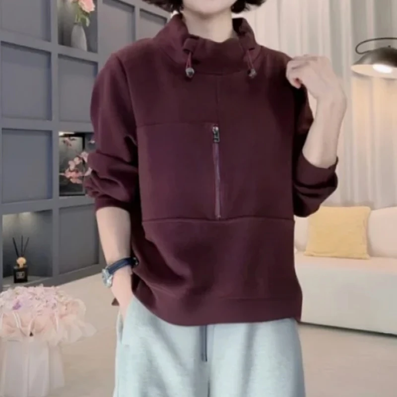 2025春秋季新款设计感半高领卫衣女时尚气质减龄宽松休闲套头上衣