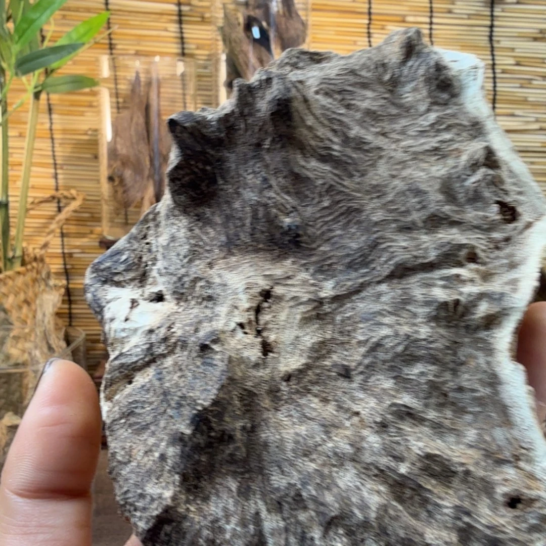 沉香沉香碎屑沉香铁头32g