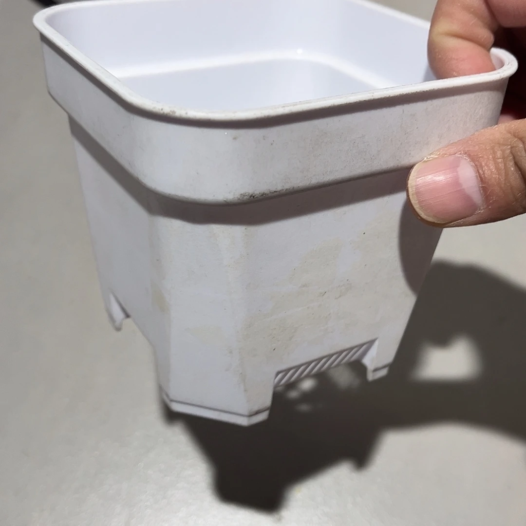 加厚矮胖口11.8高10.5白盆10个无托