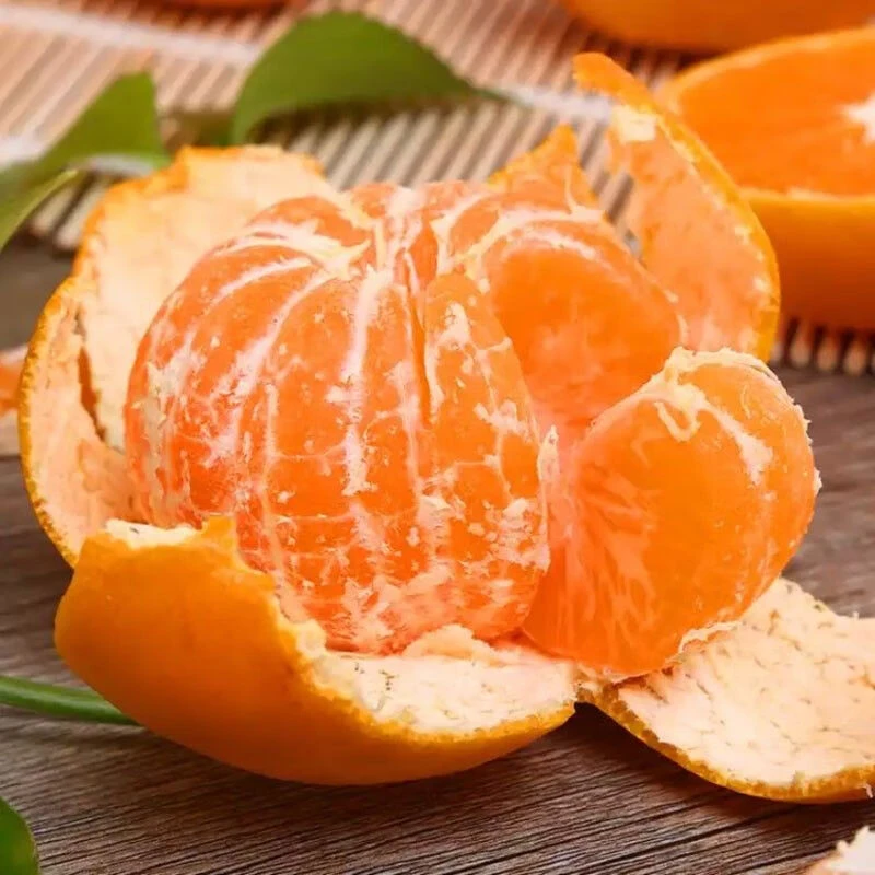 广西西林沙糖桔【每份重量990g~1010g】