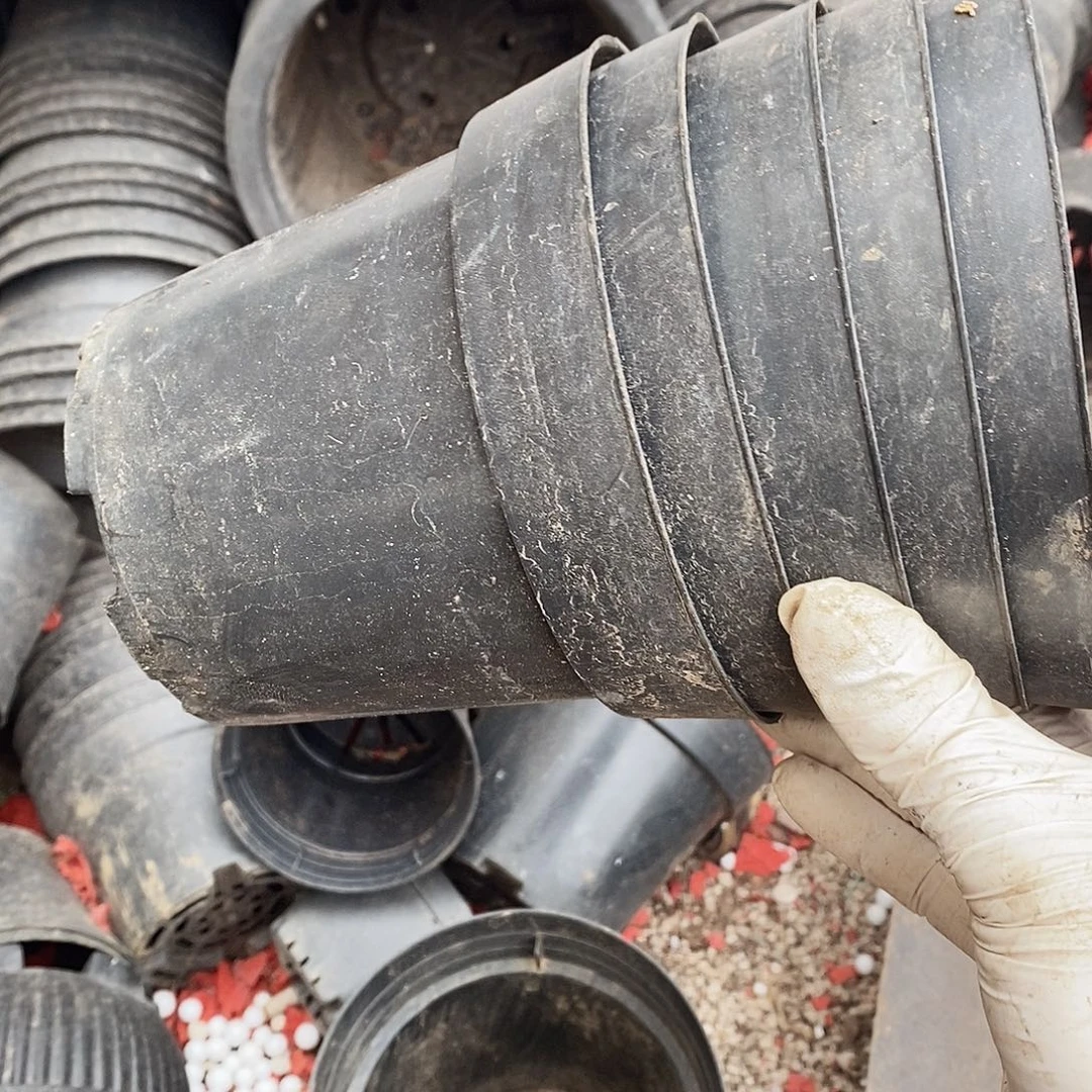 塑料旧13公分黑圆盆20个