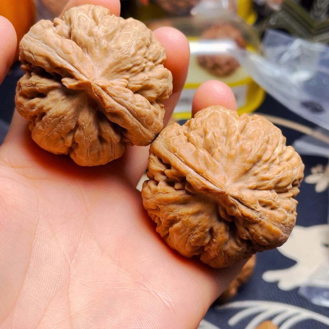 文玩核桃把件霸王龙