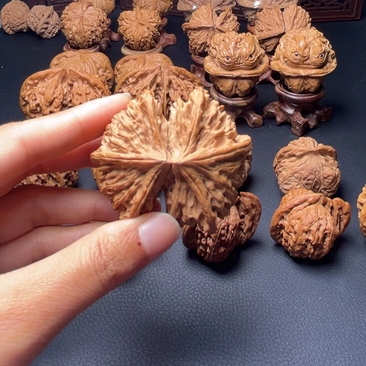 鱼*学超六棱连体核桃哈哈哈哈哈哈哈哈哈哈