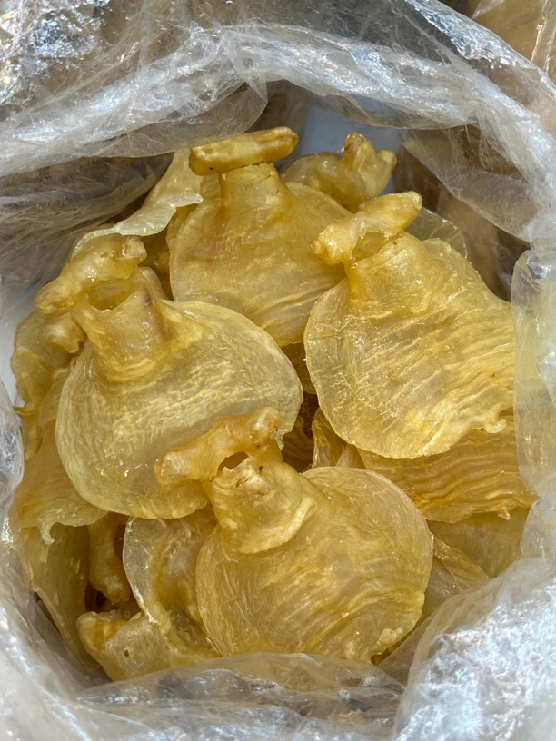 深海鳘鱼健康养生赤嘴花胶可煲汤鳘鱼鳔炖奶