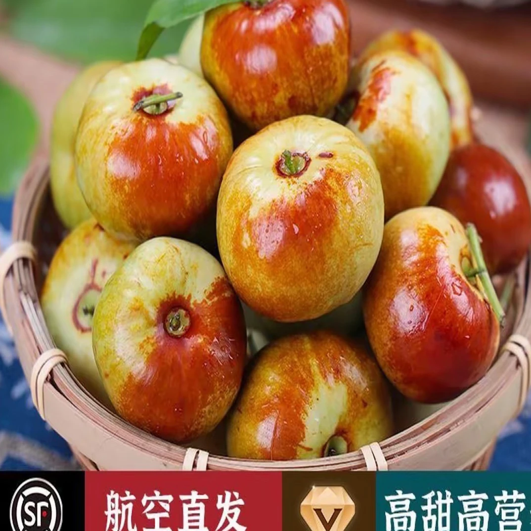 新疆沙漠蟠枣脆甜可口4斤装顺丰航空发货包邮