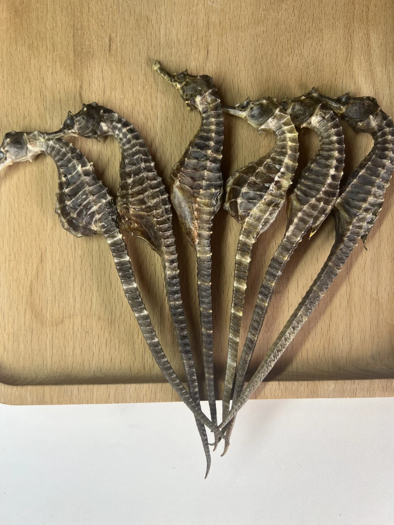 渤海马鱼干 蓝标正品 海鱼干 泡酒煲汤 鱼干 生晒足干 公母配对