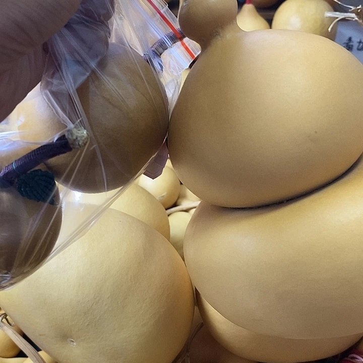 天然葫芦自然生长放漏不退换