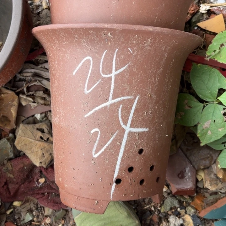 紫砂花盆紫砂的花