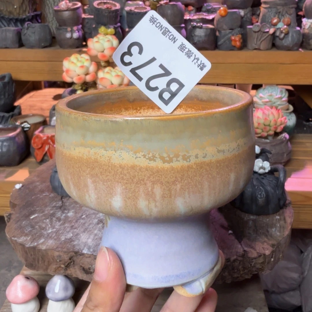 重庆小燕子欢迎大家273