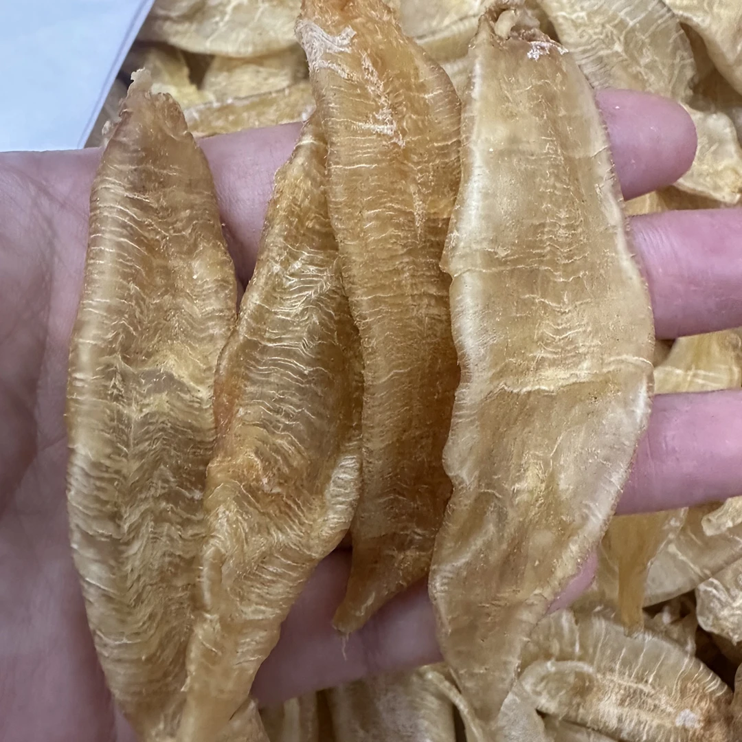 约140头红瓜胶滋补鱼胶