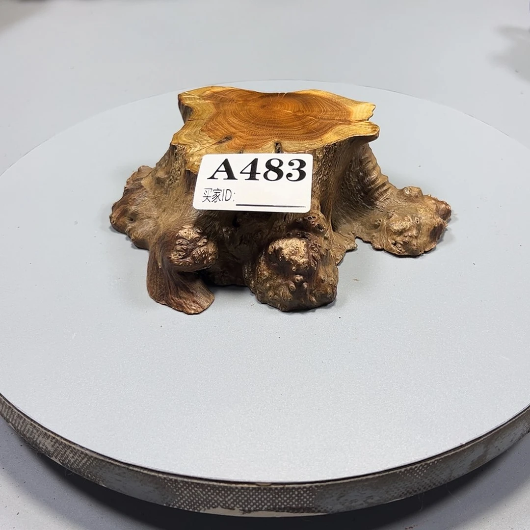 大果紫檀（缅甸花梨）陈*钢