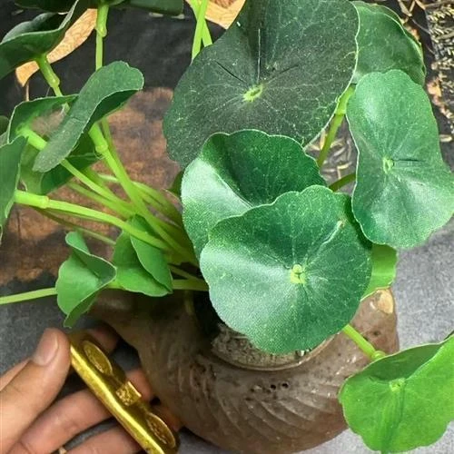 18-精选家居摆件-现代仿古摆件-SG