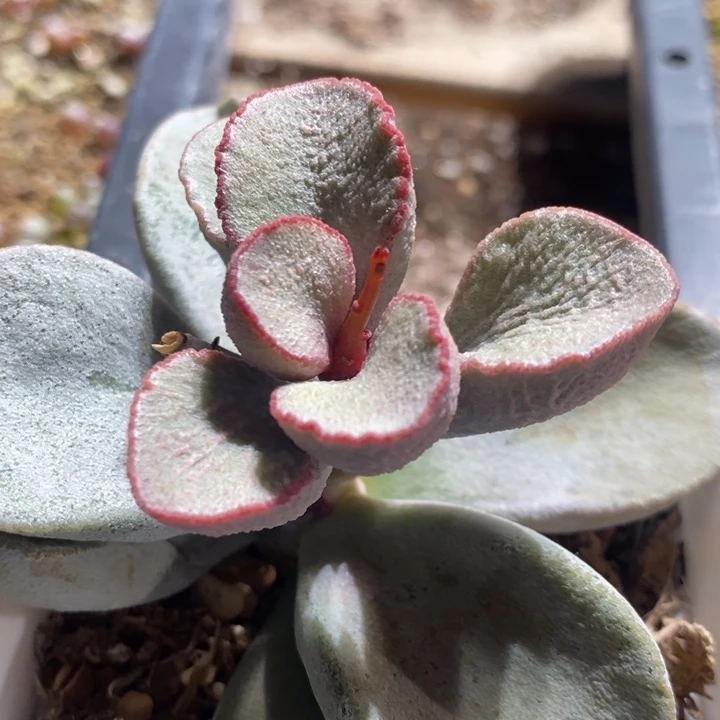 22214一个一个一个