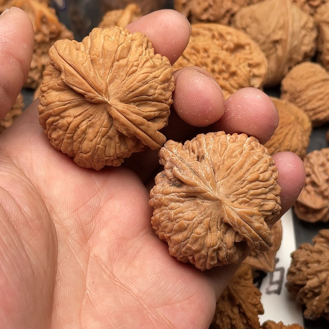 文玩核桃吊坠猪*宝白狮子