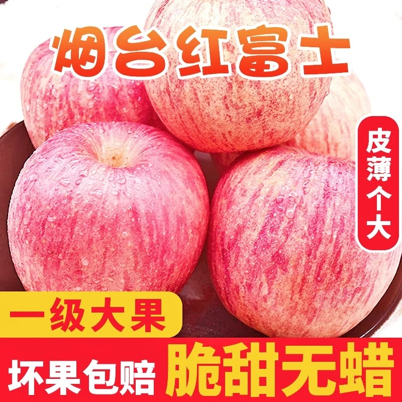 【25头茬大果】正宗山东烟台红富士苹果新鲜水果脆甜多汁当季水果1.