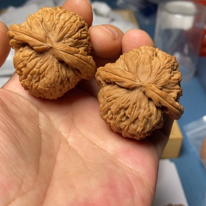 阿***泽文玩核桃把件白狮子