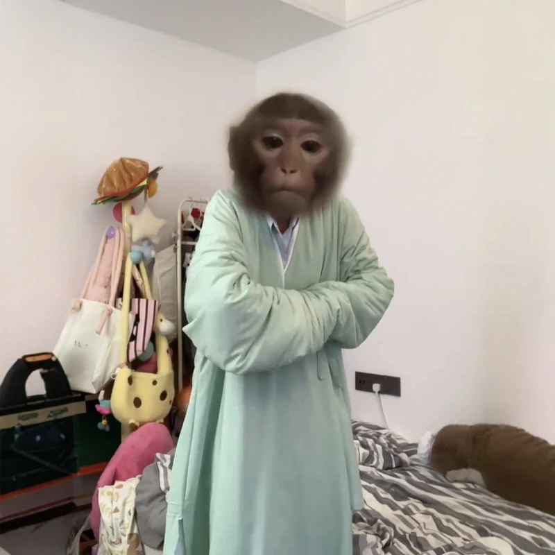 悟空睡衣猴哥加棉家居服创意西游记孙悟空同款道袍中长款外穿长衫