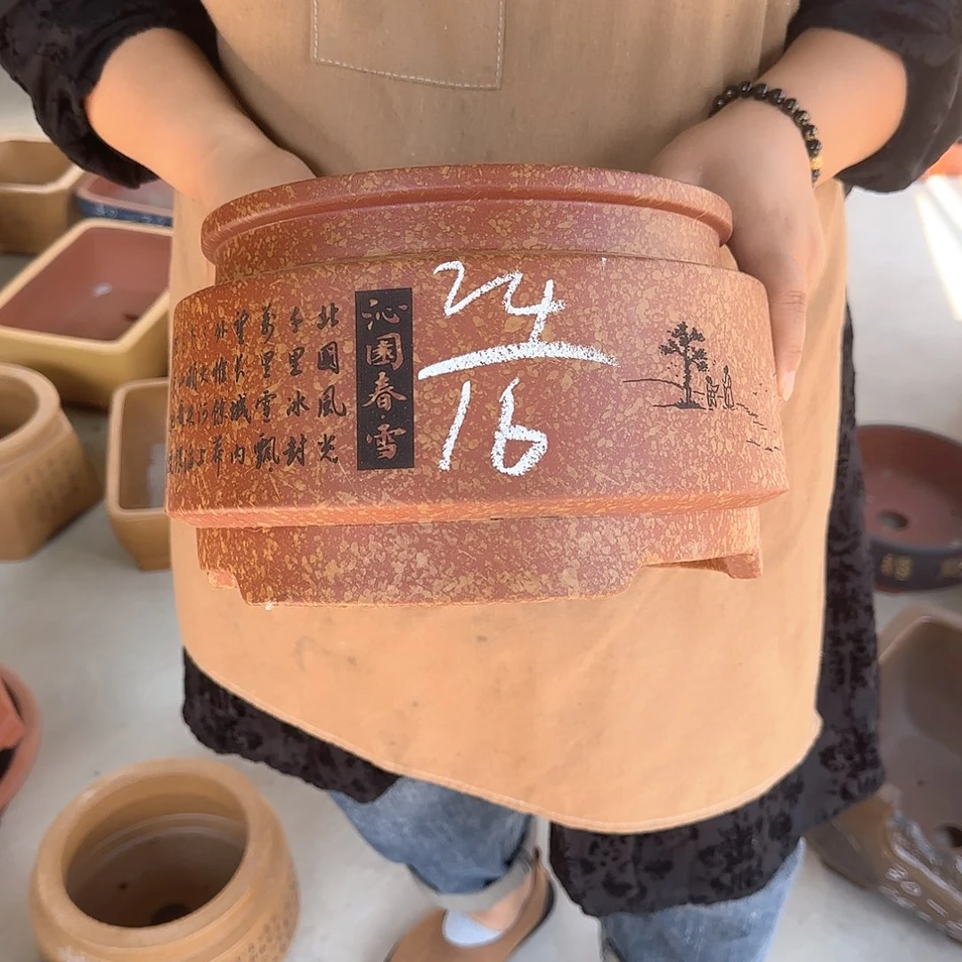 紫砂花盆z这是我的