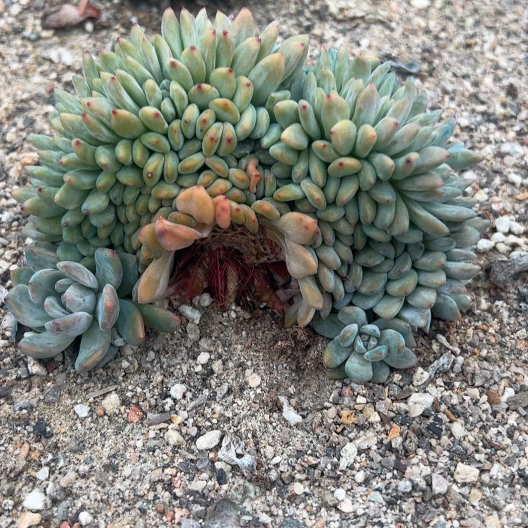 地地道道的点点滴滴
