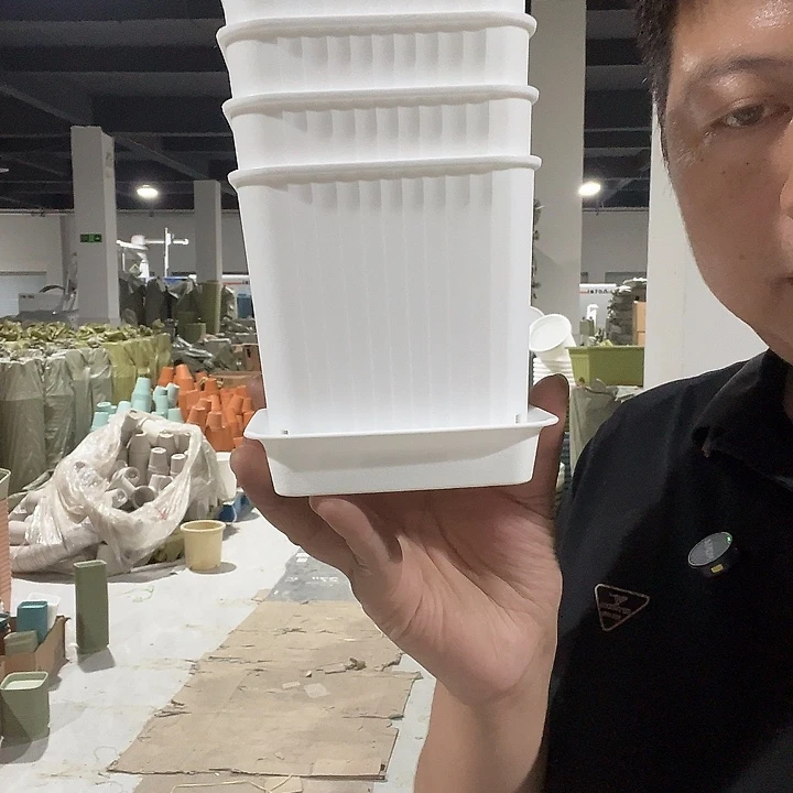 多肉12方白5个带托盘